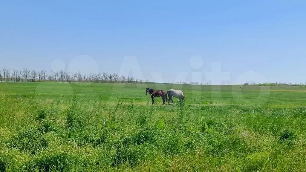 Участок 3 сот. (СНТ, ДНП) - Фото 0