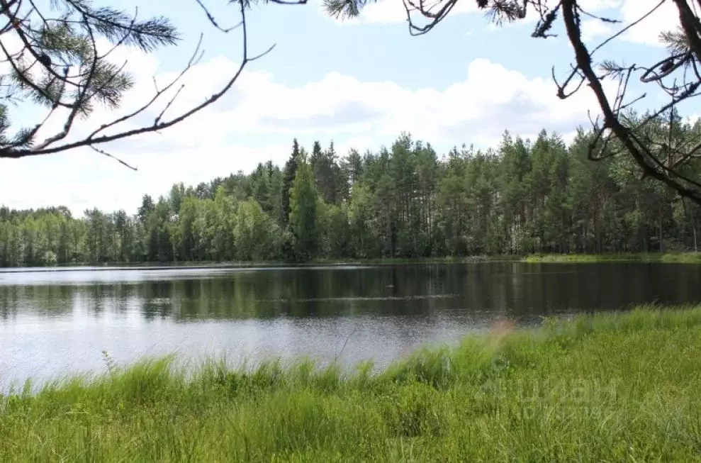 Участок в Новгородская область, Окуловский район, Турбинное с/пос  ... - Фото 0