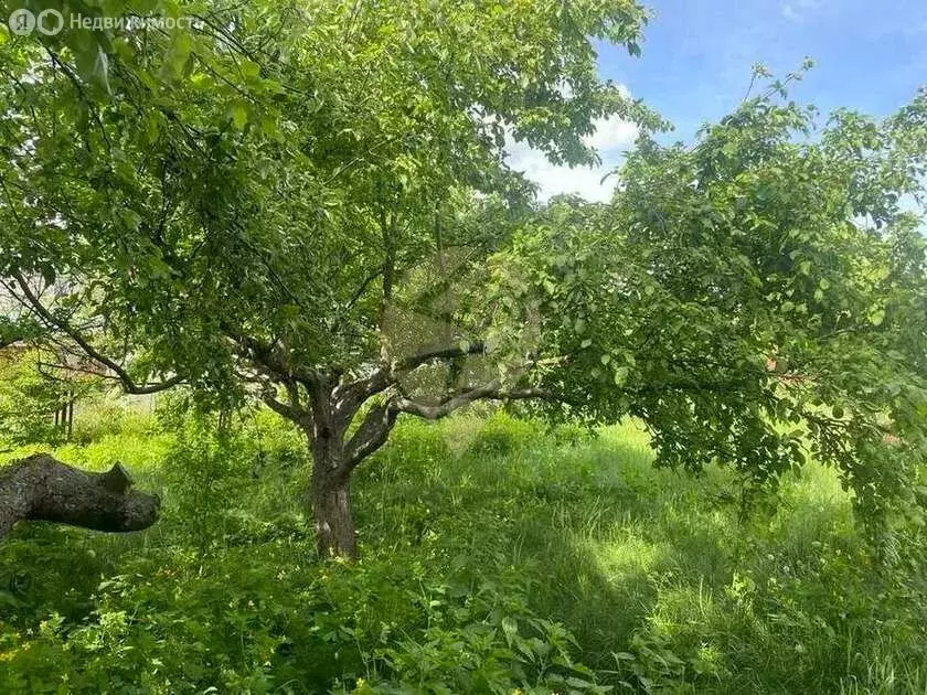 Дом в Горшеченский район, Куньевский сельсовет, село Бараново (98.8 м) - Фото 0
