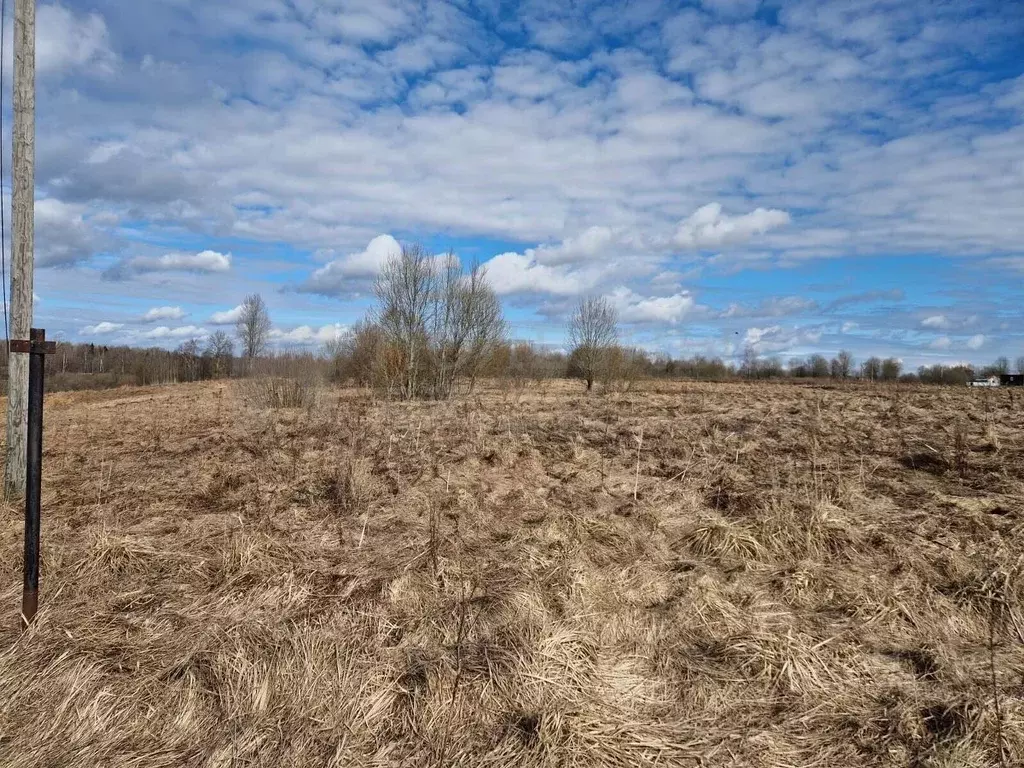 Участок в Новгородская область, Новгородский район, Трубичинское ... - Фото 1