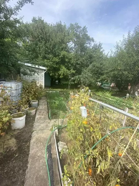 Дом в Самарская область, Тольятти Приозерный СНТ,  (60 м) - Фото 1