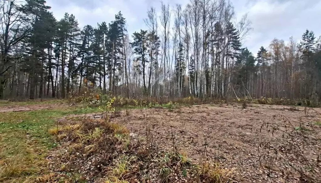 Участок в Московская область, Ступино городской округ, д. Соколова ... - Фото 2