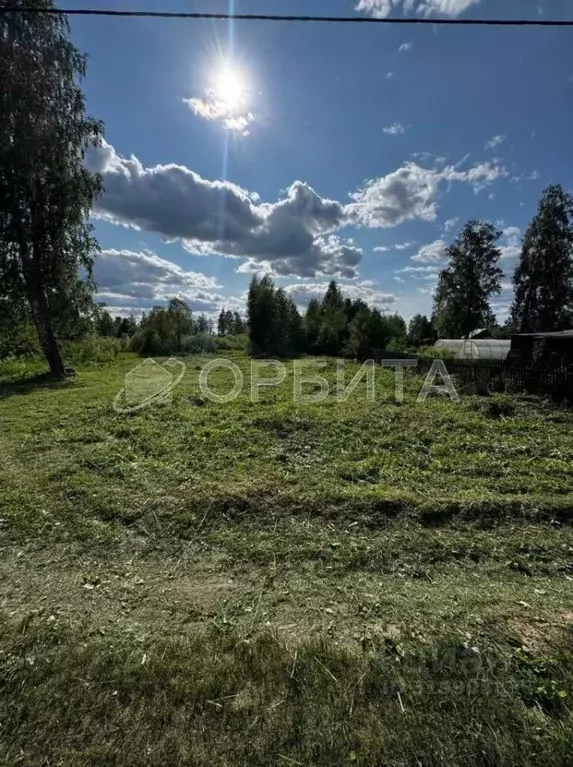 Участок в Тюменская область, Тюменский район, Нива СНТ ул. Яблоневая, ... - Фото 1