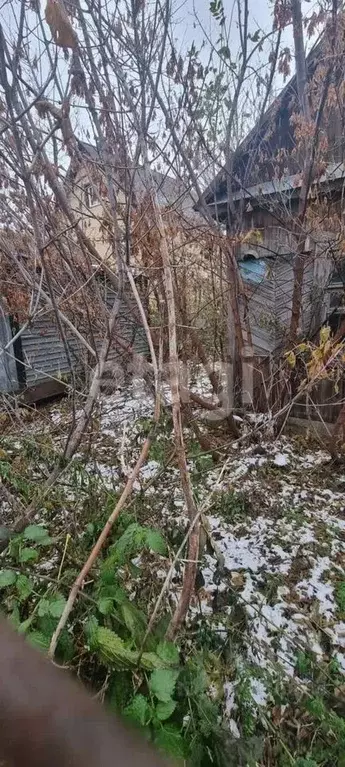 участок в тульская область, новомосковск ул. вильямса, 5 (6.0 сот.) - Фото 1