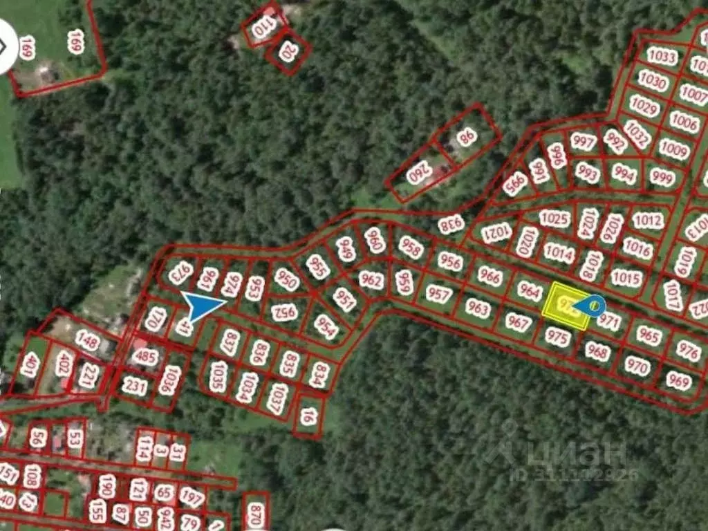 Участок в Ленинградская область, Приозерский район, Ромашкинское ... - Фото 2