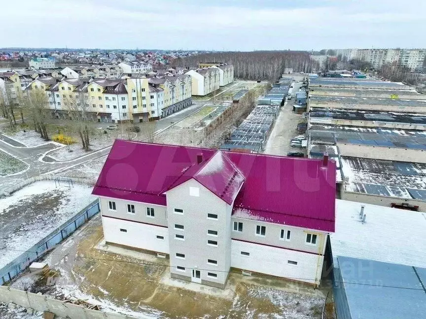 Помещение свободного назначения в Алтайский край, Барнаул ул. ... - Фото 0