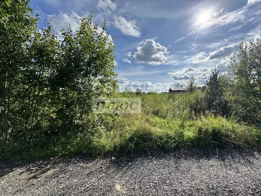 Участок в Ленинградская область, Тосненский район, Форносовское ... - Фото 2