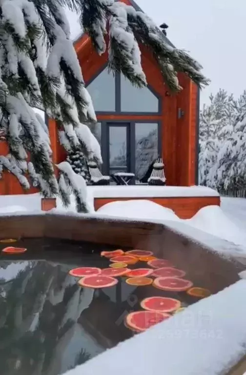 Дом в Красноярский край, Красноярск просп. Мира, 81 (40 м) - Фото 1