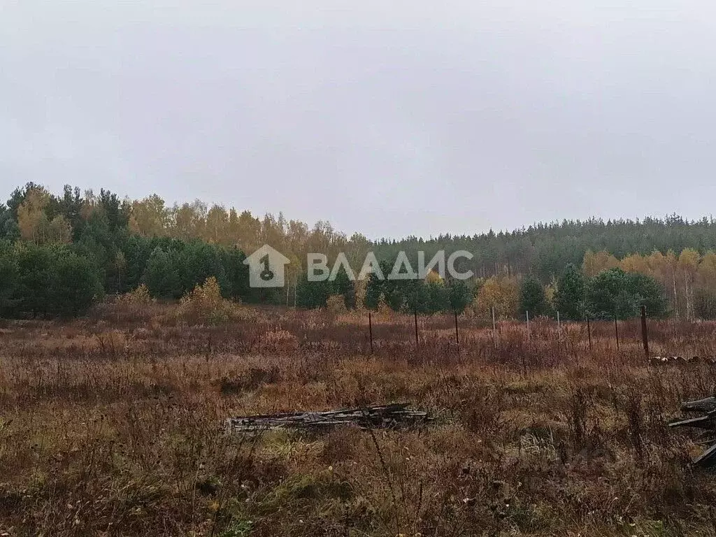 Участок в Владимирская область, Ковровский район, Новосельское с/пос, ... - Фото 0