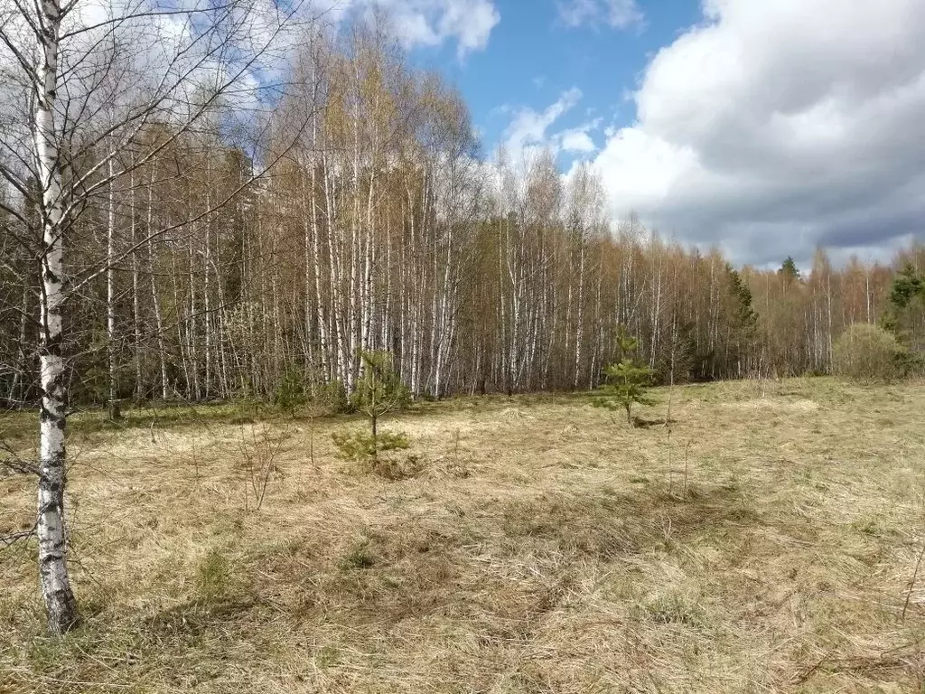 Участок в Владимирская область, Киржачский район, Горкинское ... - Фото 0