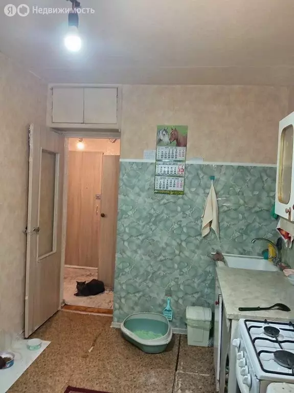 1-комнатная квартира: посёлок городского типа Андреевка, 6А (35 м) - Фото 2