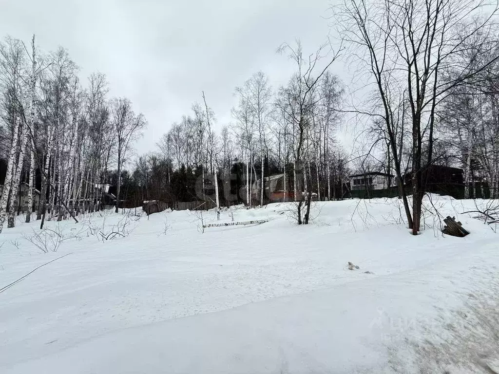 Участок в Москва пос. ДСК Мичуринец, ул. Энгельса, 48А (10.0 сот.) - Фото 1