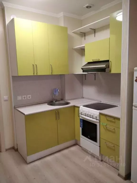 Студия Ленинградская область, Всеволожский район, Заневское городское ... - Фото 1