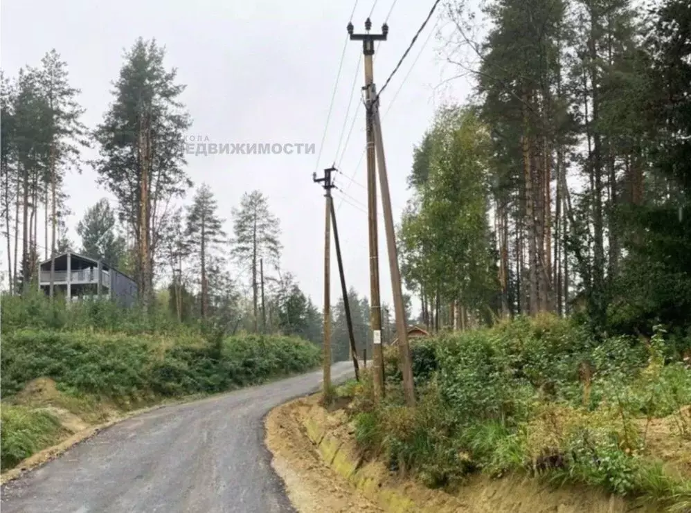 Участок в Ленинградская область, Всеволожский район, Куйвозовское ... - Фото 1