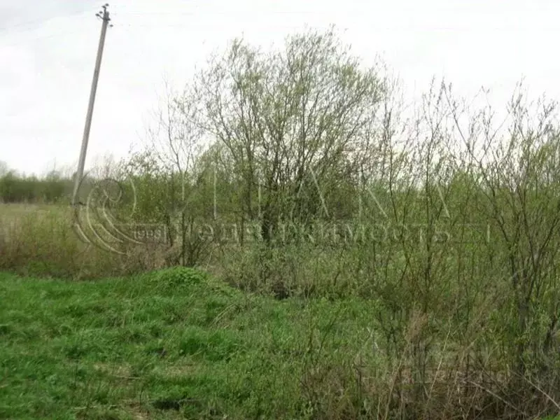 Участок в Ленинградская область, Лодейнопольский район, Алеховщинское ... - Фото 0