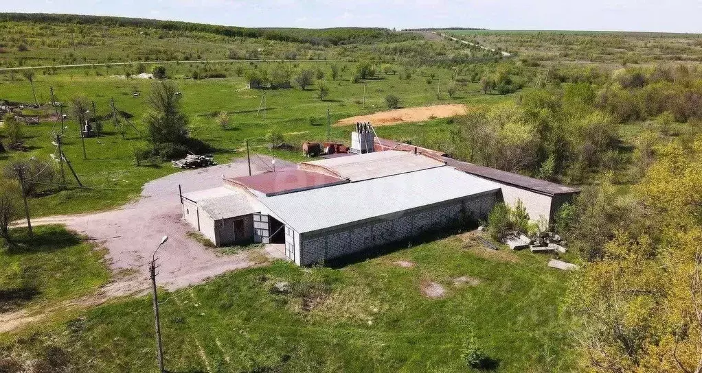 Склад в Воронежская область, Калач Верхняя ул., 216 (47000 м) - Фото 1