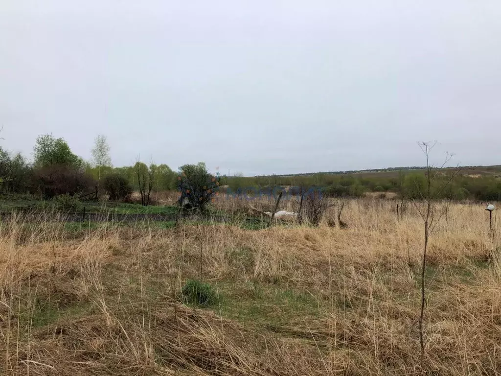 Участок в Нижегородская область, Нижний Новгород с. Слободское,  (25.0 ... - Фото 1