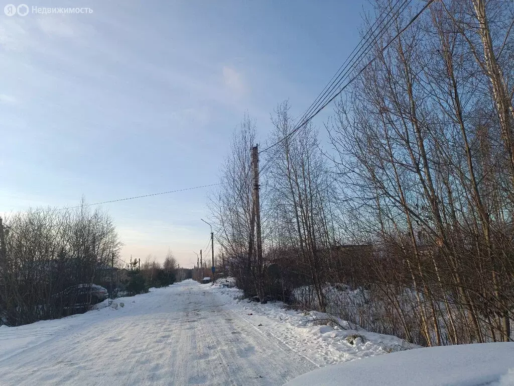 Участок в Ермолинское сельское поселение, деревня Плетниха, улица ... - Фото 0