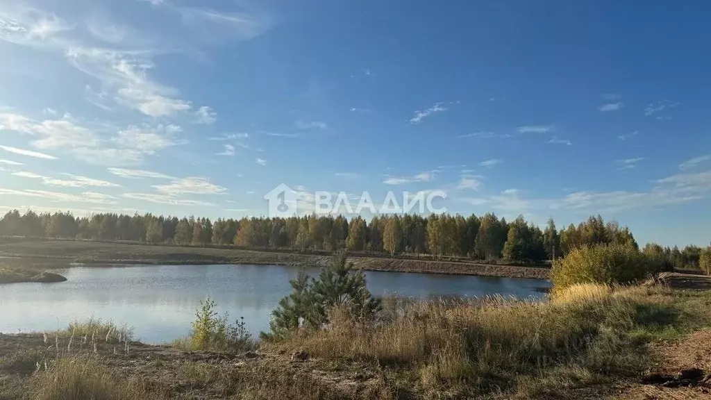 Участок в Рязанская область, Рязанский район, Вышгородское с/пос, с. ... - Фото 1