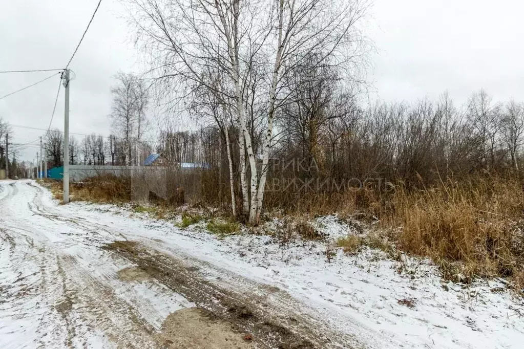 Участок в Тюменская область, Нижнетавдинский район, Фортуна СТ ул. 8-я ... - Фото 0