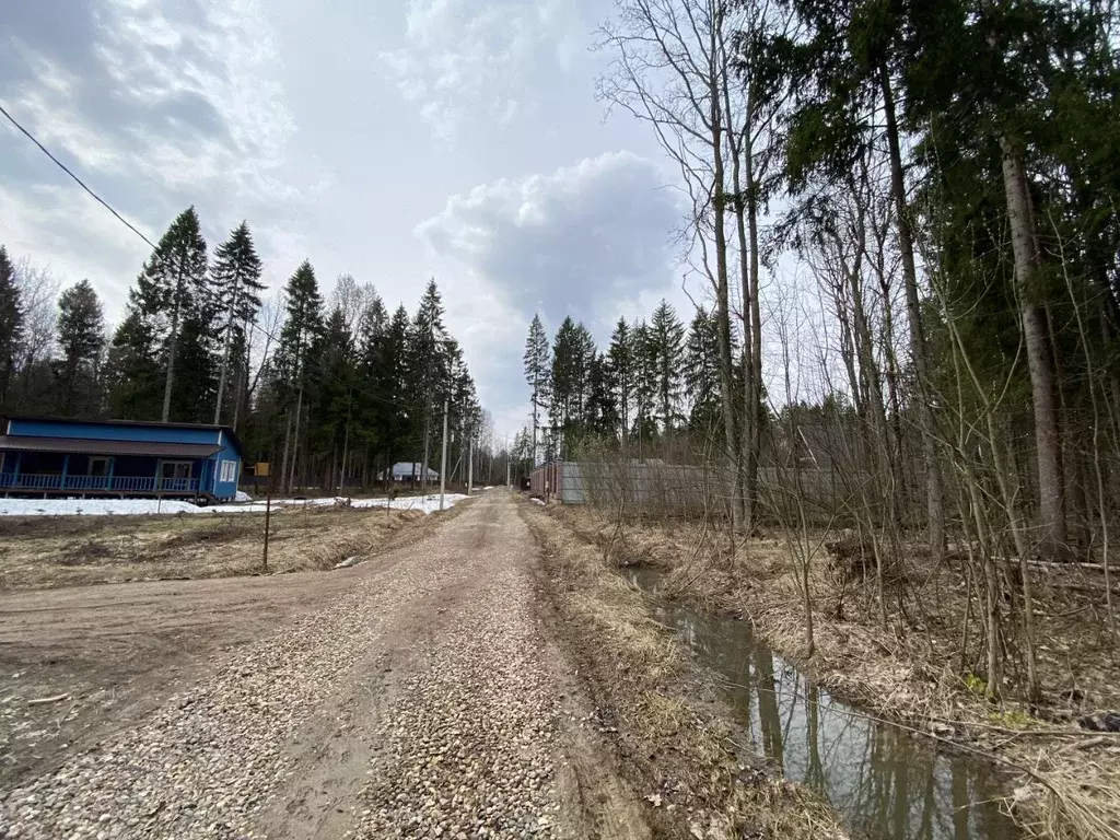 Участок в Московская область, Хотьково Сергиево-Посадский район, Весна ... - Фото 1