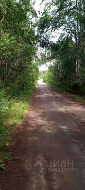 Участок в Свердловская область, Дегтярск городской округ, пос. Бережок ... - Фото 0