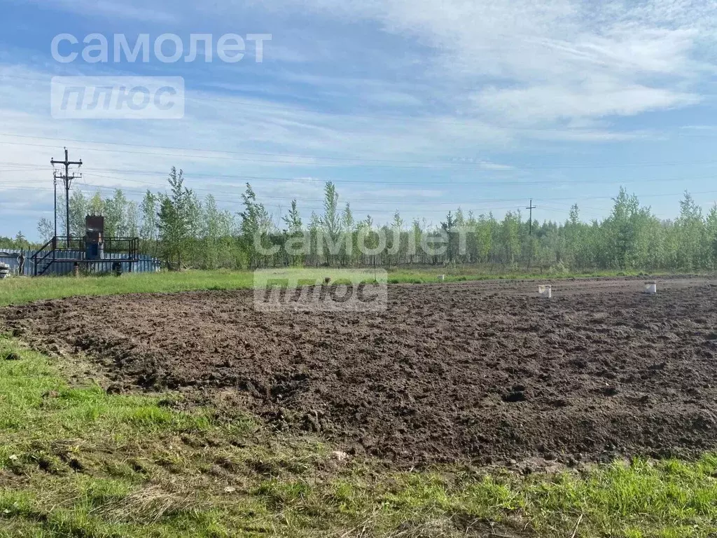 Участок в Ханты-Мансийский АО, Нижневартовск Дубрава СОНТ,  (555.73 ... - Фото 1