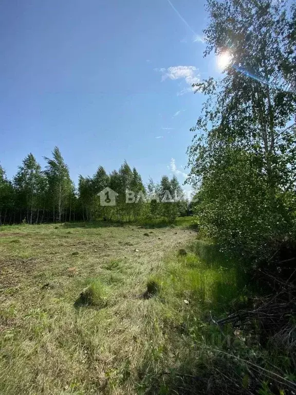 Участок в Иркутская область, Шелеховский район, Баклашинское ... - Фото 1