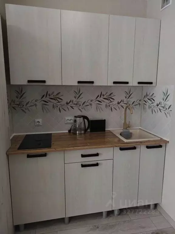 Студия Воронежская область, Воронеж ул. Богдана Хмельницкого, 53А ... - Фото 2