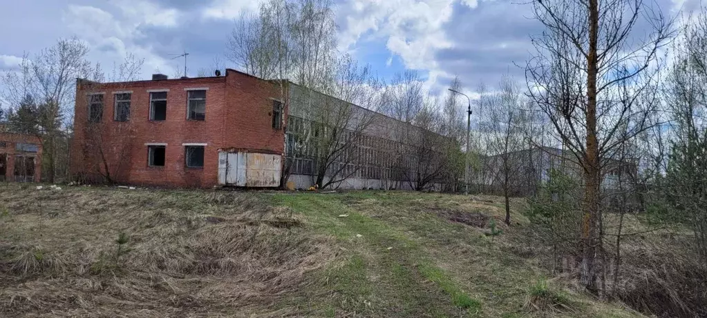 Производственное помещение в Московская область, Раменский городской ... - Фото 1