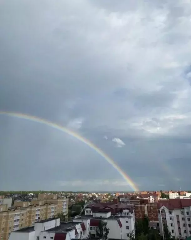 1-к кв. Белгородская область, Старый Оскол Дубрава мкр, 3 кв-л, 1 ... - Фото 0