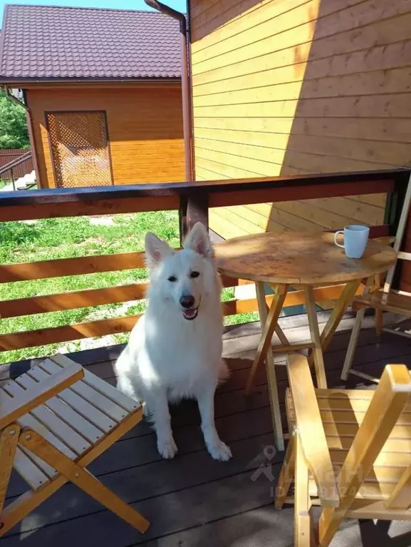 Дом в Тульская область, Заокский район, Страховское с/пос, ... - Фото 2