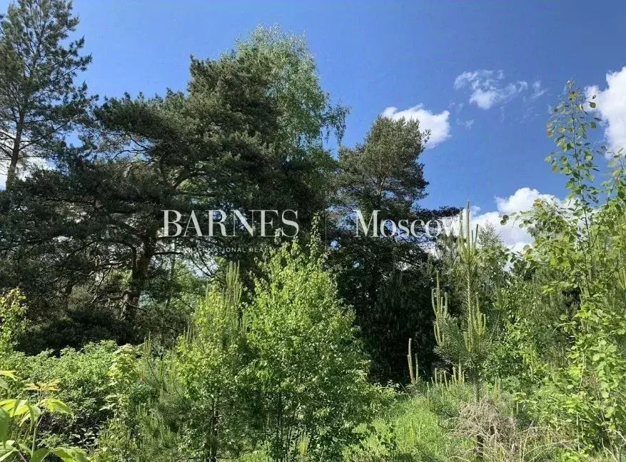 Участок в Московская область, Одинцовский городской округ, д. ... - Фото 2