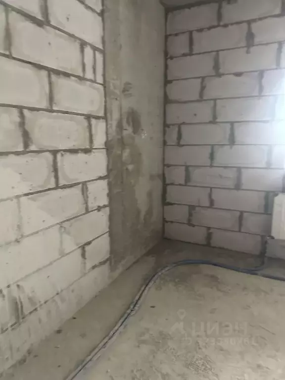 Студия Ростовская область, Ростов-на-Дону просп. Ленина (45.0 м) - Фото 1