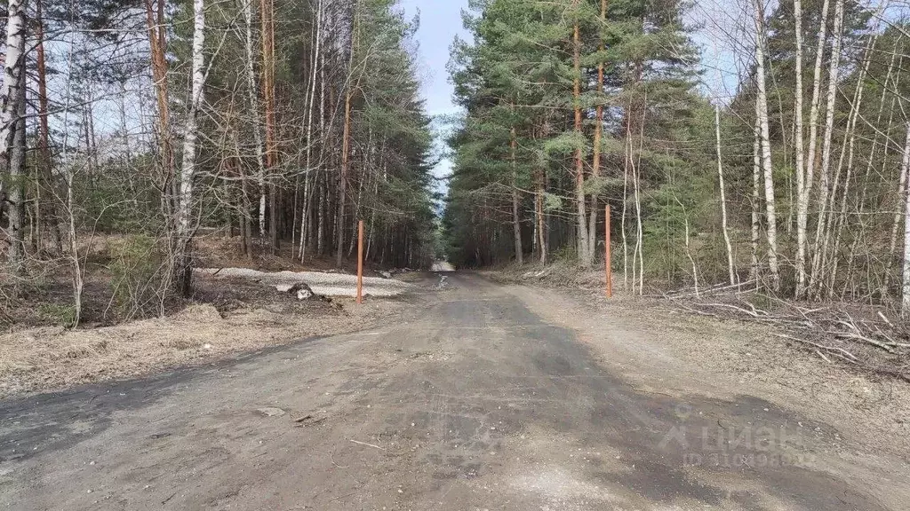 Участок в Владимирская область, Судогодский район, Вяткинское ... - Фото 0