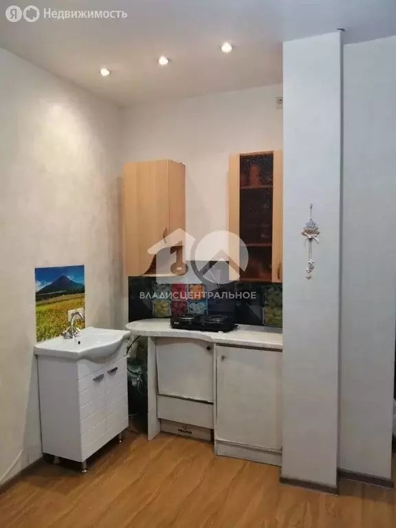 Квартира-студия: Новосибирск, улица Виктора Уса, 11 (19 м) - Фото 2