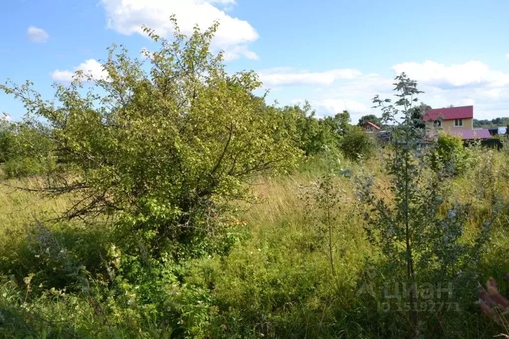 Участок в Тверская область, Осташковский городской округ, д. Сорога  ... - Фото 1