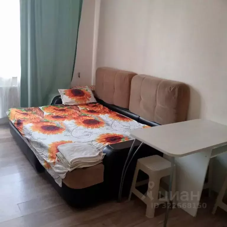 Студия Московская область, Солнечногорск городской округ, Голубое пгт ... - Фото 1