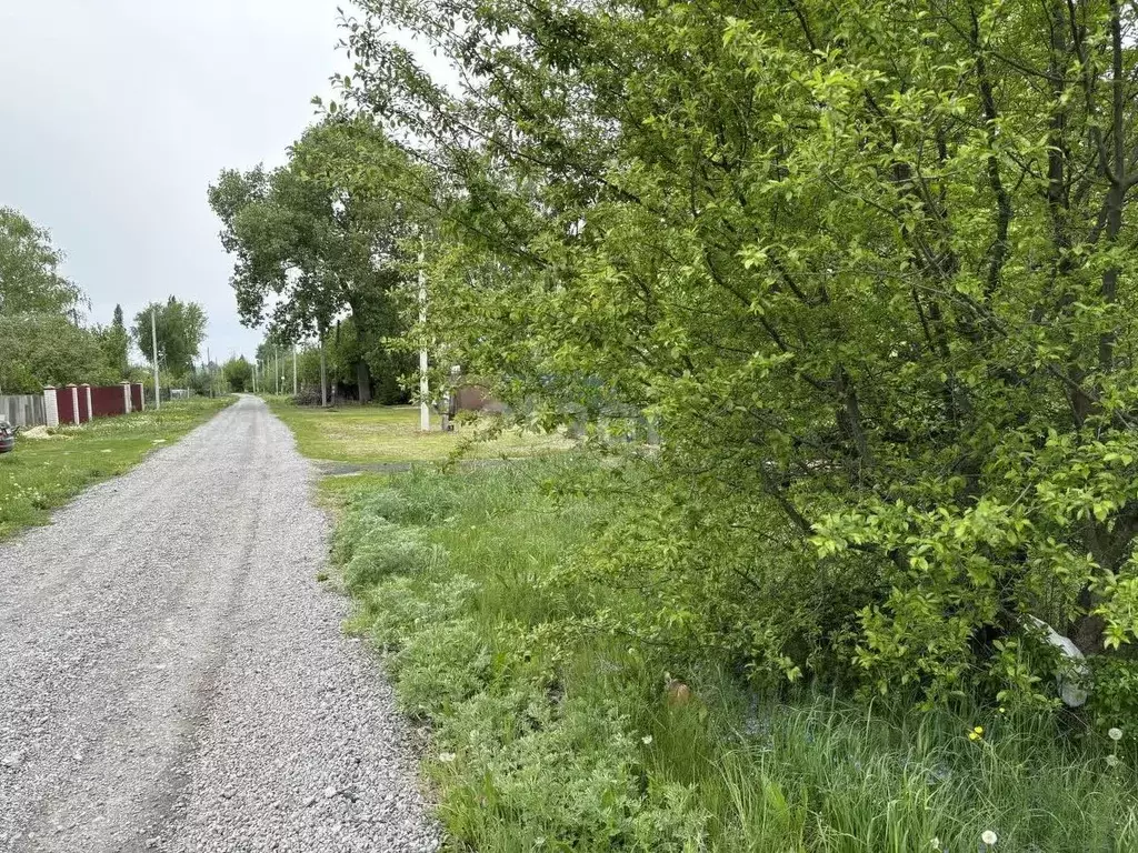 Участок в Воронежская область, Новоусманский район, Орловское с/пос, ... - Фото 1