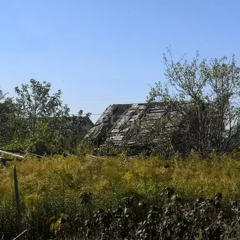 Участок в Брянская область, Брянский район, Нетьинское с/пос, ... - Фото 1