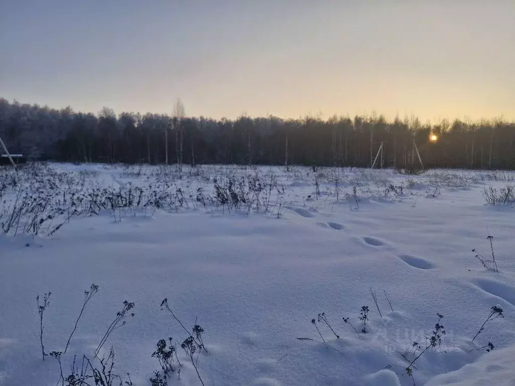 Участок в Московская область, Ступино городской округ, д. Дубнево  ... - Фото 2
