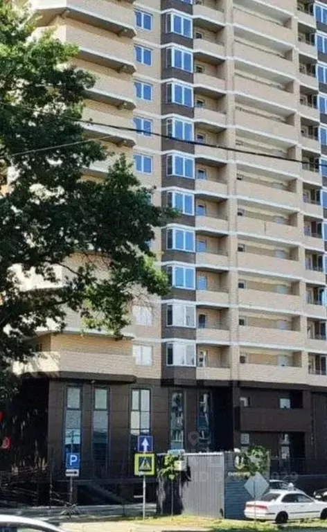 1-к кв. Краснодарский край, Краснодар Черкасская ул. (31.4 м) - Фото 2