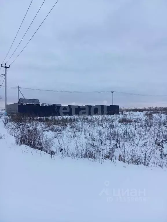 Участок в Московская область, Домодедово городской округ, д. Гальчино ... - Фото 1