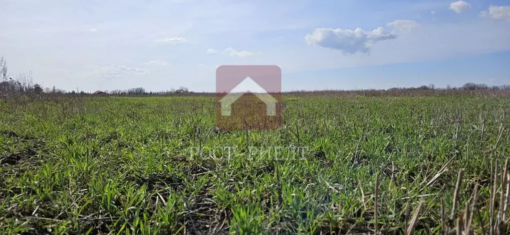 Участок в Саратовская область, Воскресенский район, Елшанское ... - Фото 2