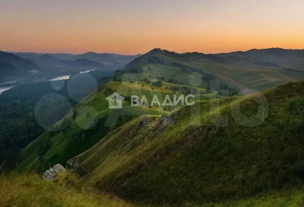 Участок 75 сот. (СНТ, ДНП) - Фото 1