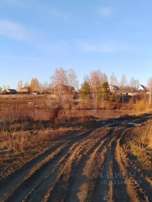 Участок в Томская область, Томский район, с. Межениновка Дорожная ул. ... - Фото 1