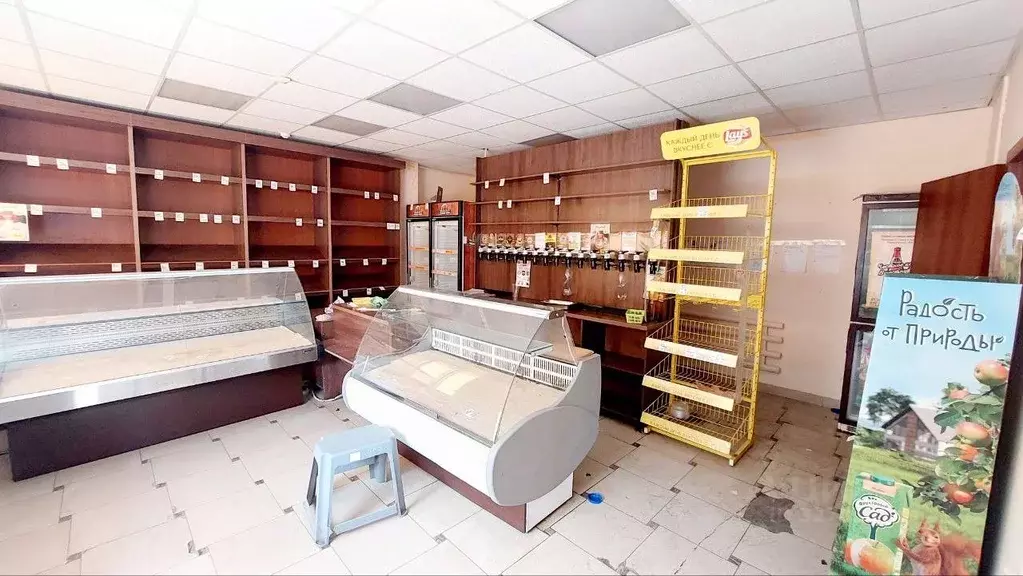 Помещение свободного назначения в Саратовская область, Вольск ул. ... - Фото 2