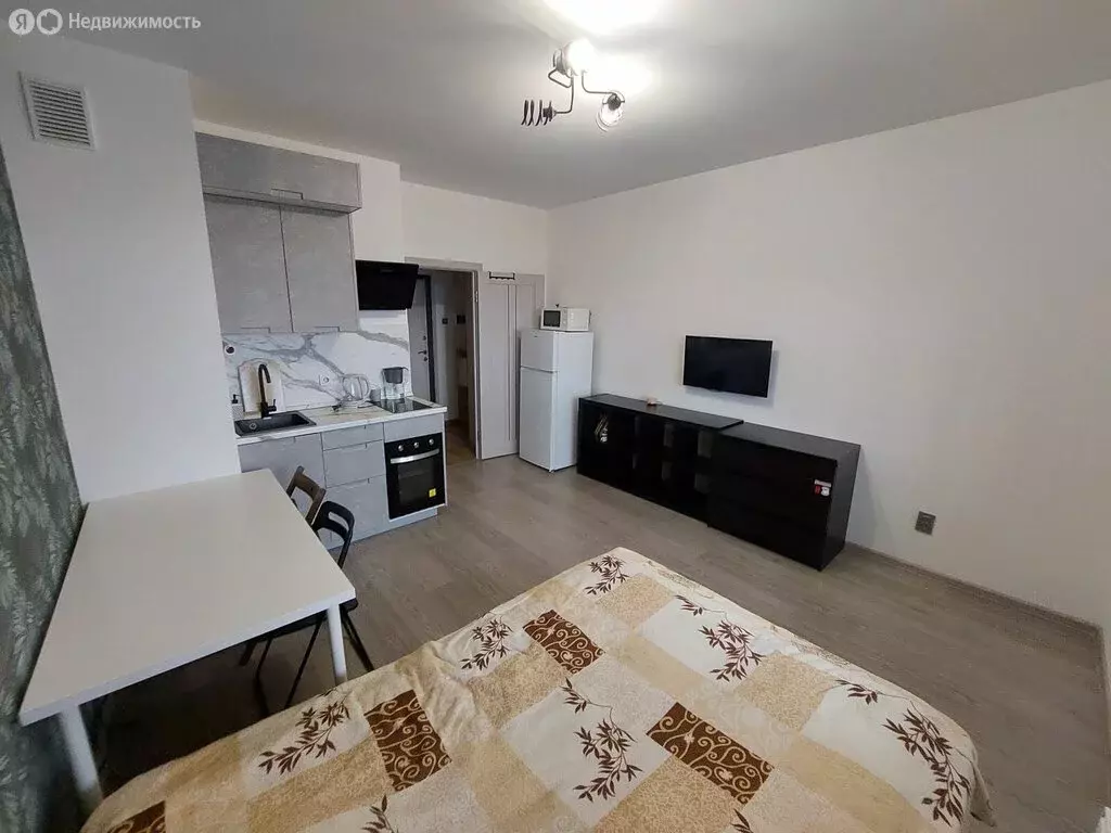 Квартира-студия: Санкт-Петербург, Среднерогатская улица, 16к2 (22.5 м) - Фото 0