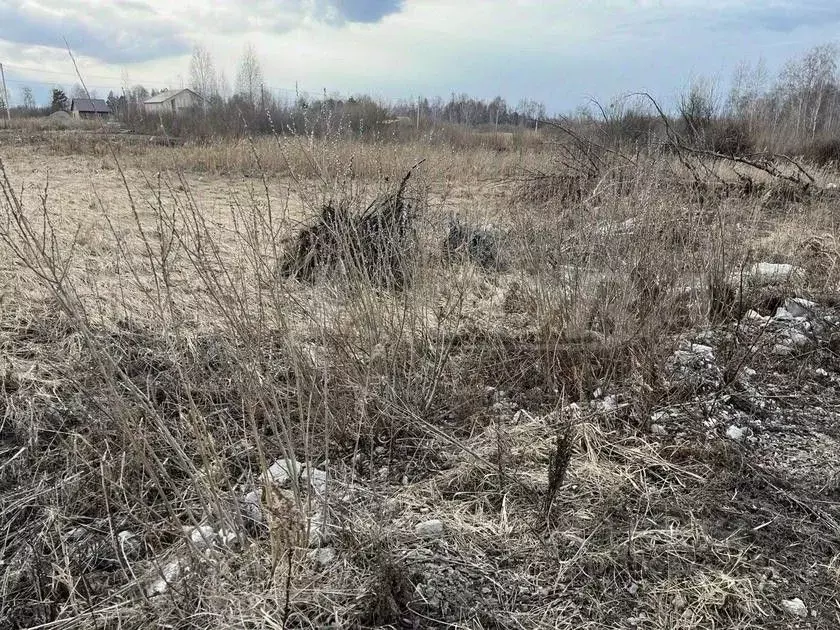 Участок в Тюменская область, Тюмень Поле Чудес садовое товарищество, ... - Фото 0