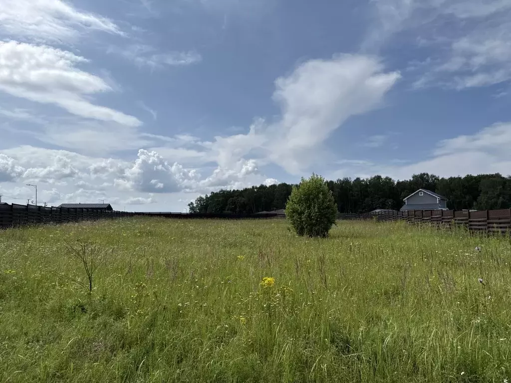 Участок в Тульская область, Заокский район, Малаховское с/пос, ... - Фото 2